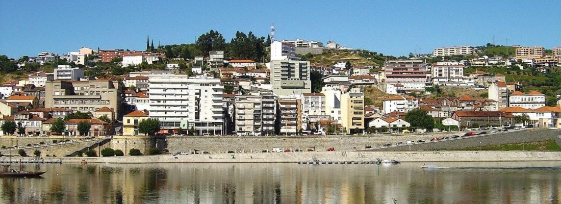 Peso da R&eacute;gua: Animation au c&oelig;ur du Douro