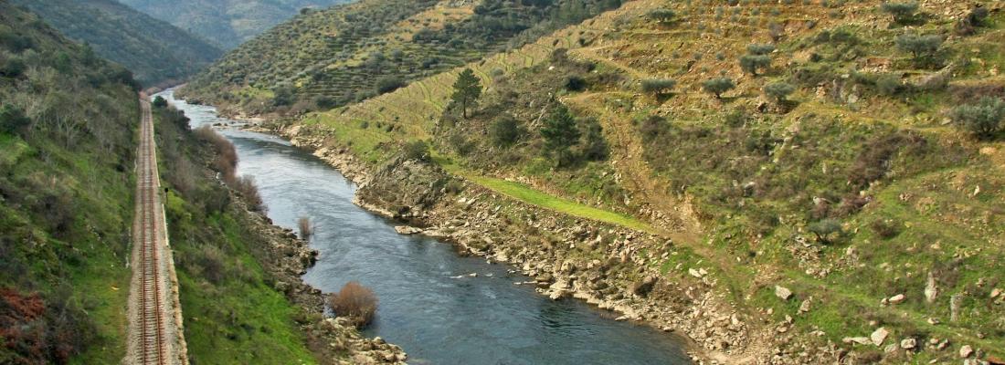 La r&eacute;gion de Tua