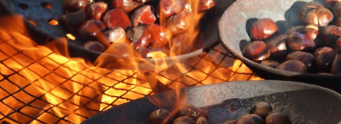 L'histoire de la Saint-Martin