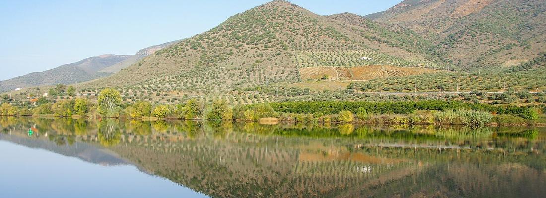 Parc naturel international du Douro