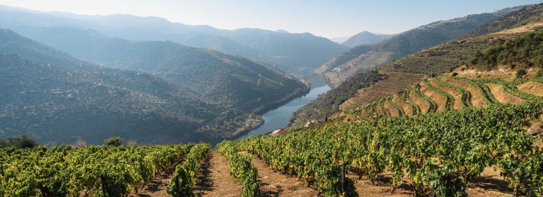 Des choses sur le Douro que personne ne vous dit