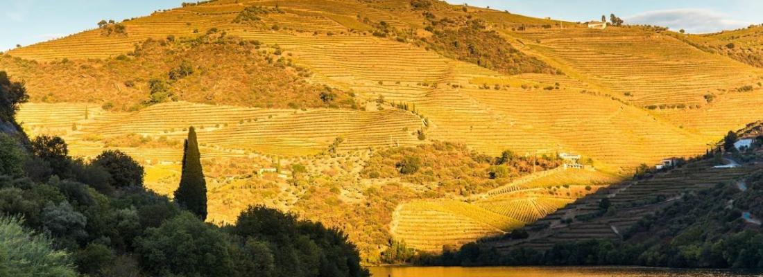 Itin&eacute;raire culturel dans le Alto Douro Vinhateiro