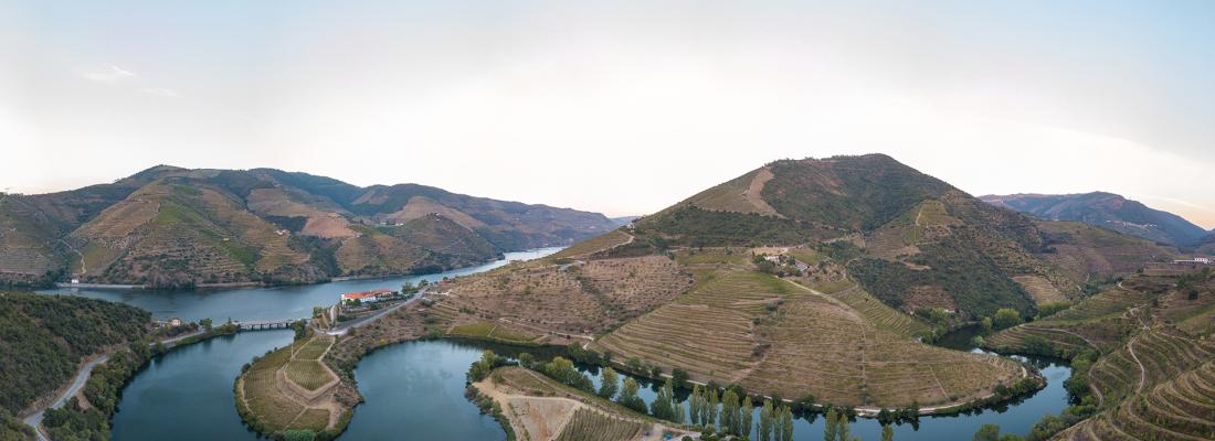 Tendances du Douro pour 2021