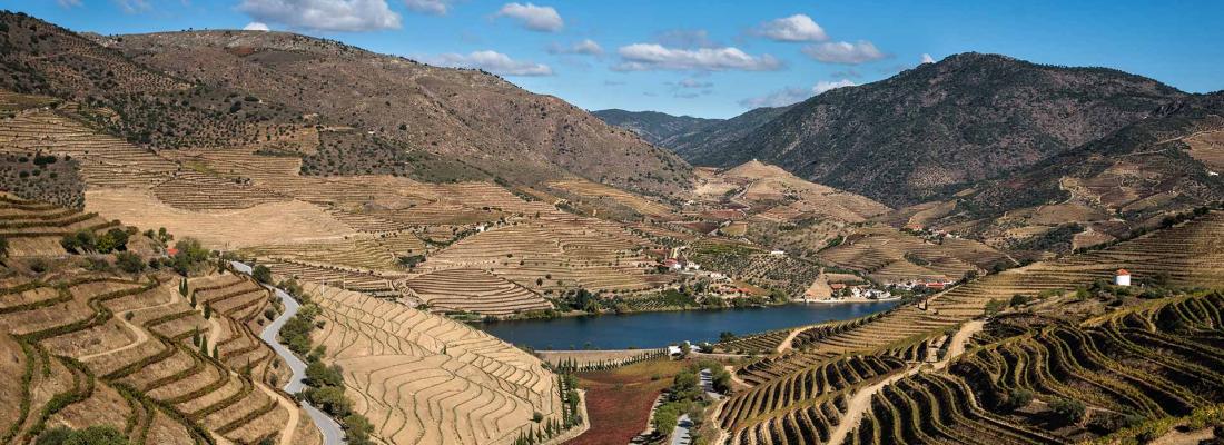 4 H&eacute;bergements de Tourisme rural dans le Douro pour les personnes occup&eacute;es