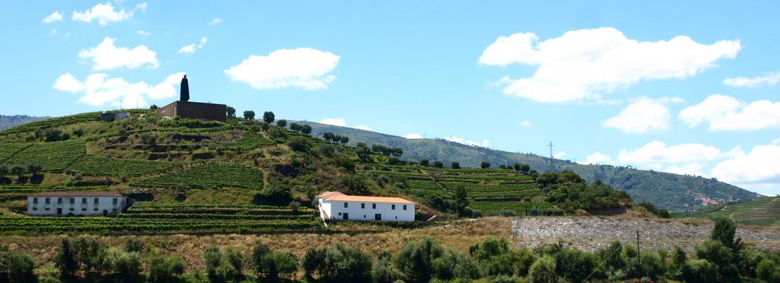 Les 5 Croisi&egrave;res sur le Douro pour 2025 que vous allez manquer si vous ne r&eacute;servez pas d&egrave;s maintenant ! Pr&eacute;parez-vous pour un Voyage Inoubliable !