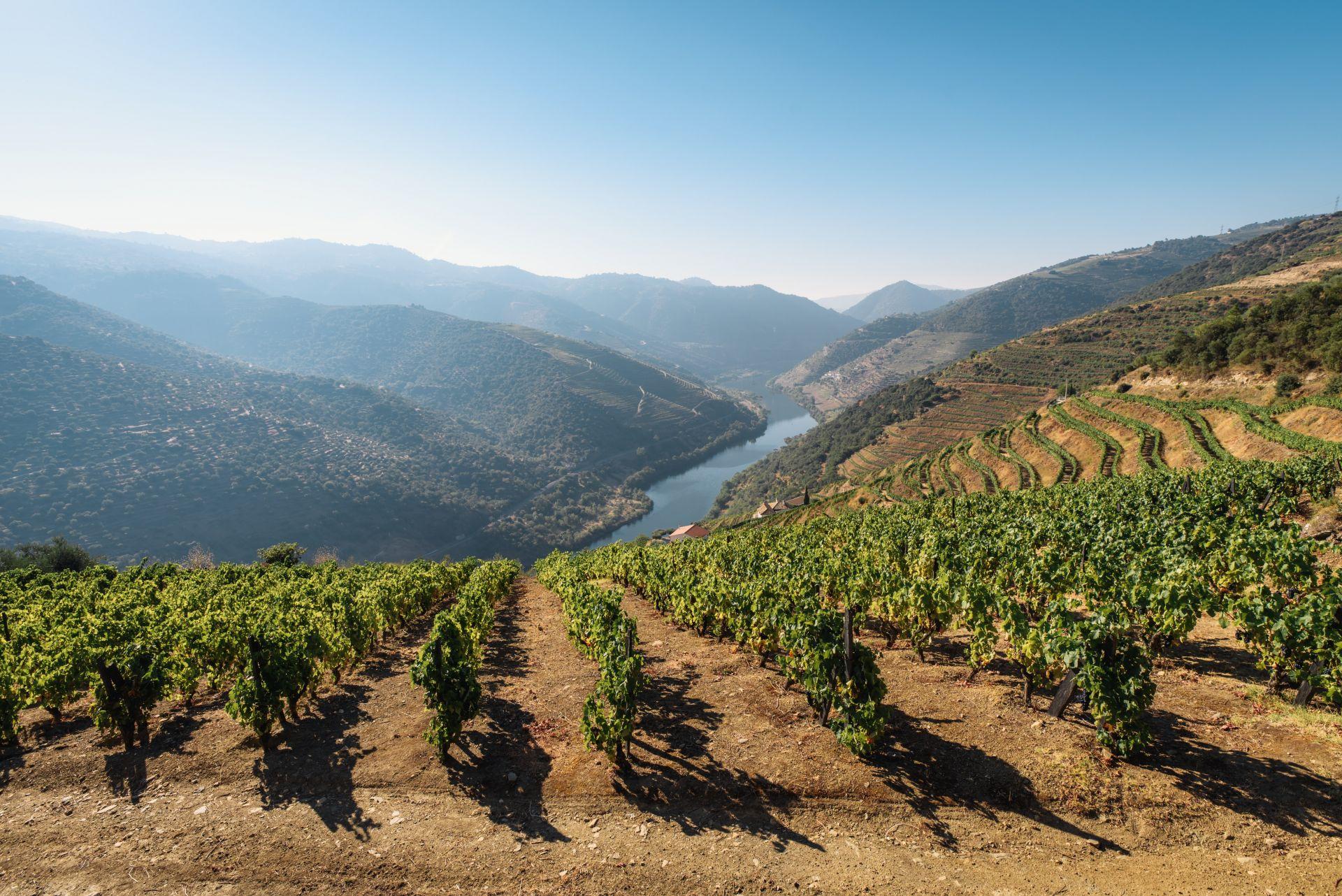 Things about the Douro that nobody tells you