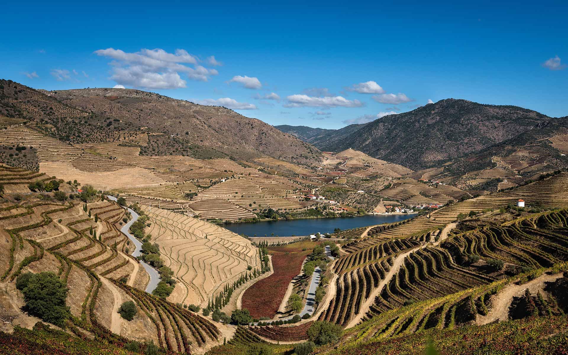 4 Rural Tourism Accommodations in the Douro for busy people