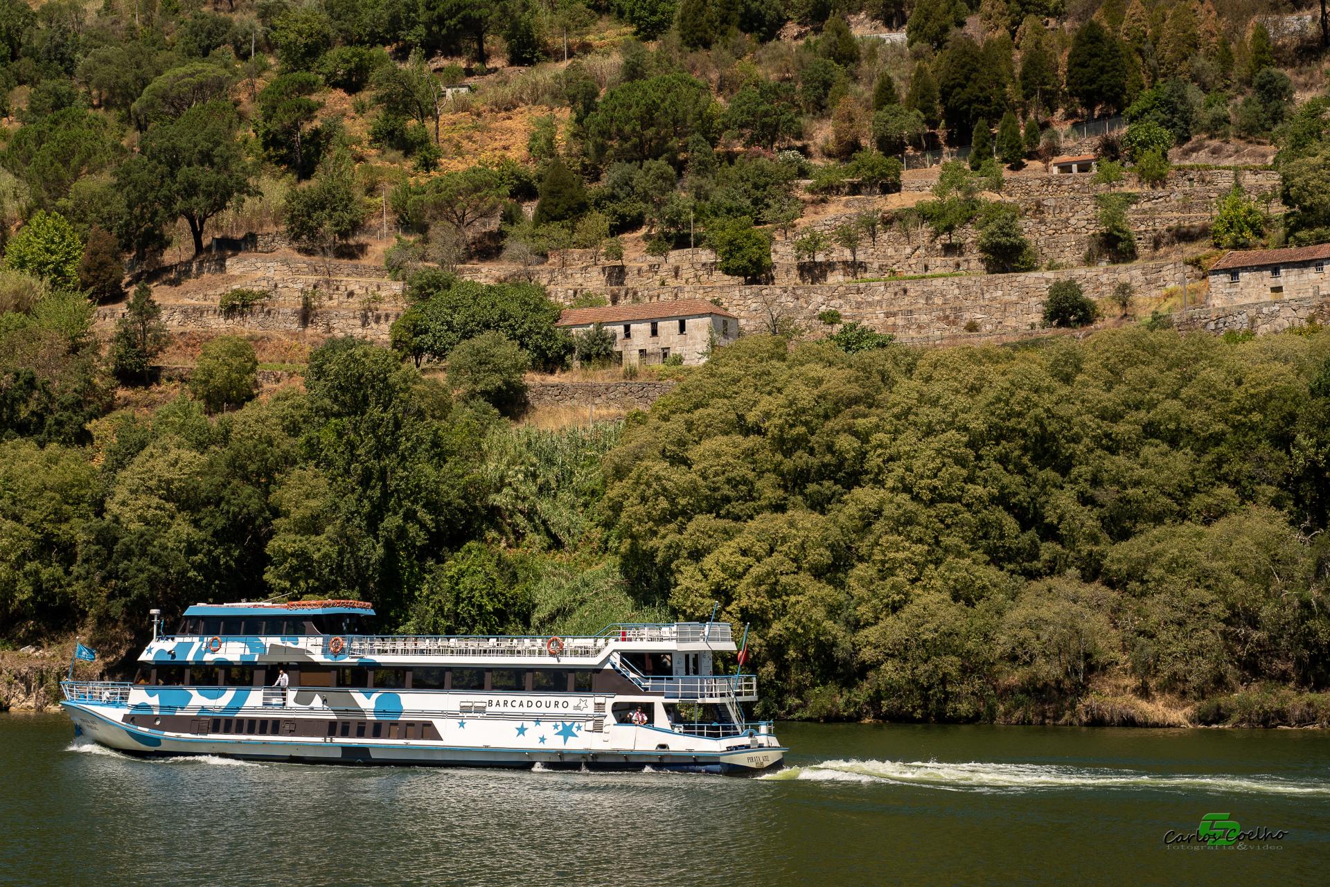 Ascent the Douro by Boat: How Much Does It Cost?