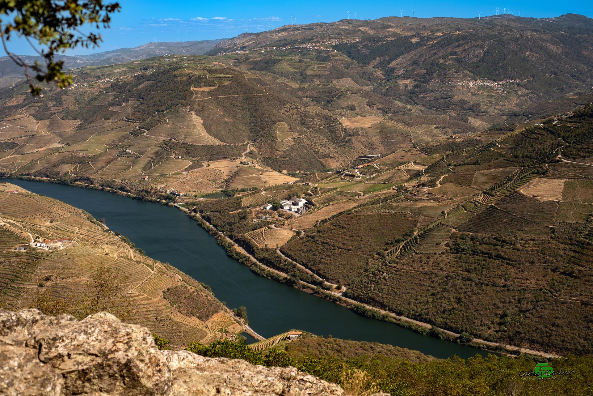 Things you can't miss in the Douro