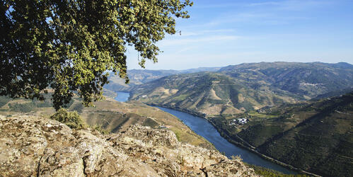 Douro Tour 360