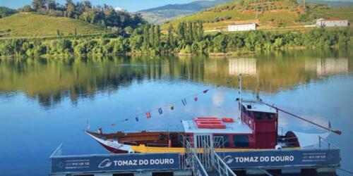 1-Hour Cruise in Régua