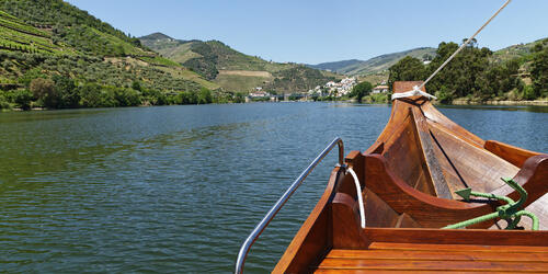 Douro Sublimado: Fall and Winter