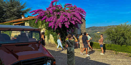 Tour - Une Journée Dans le Douro