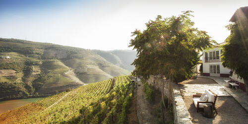 Vins et Tapas à la Quinta Nova
