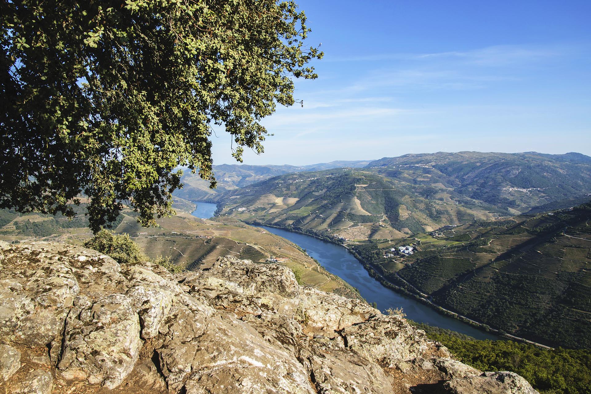 Tour Douro 360 - 1