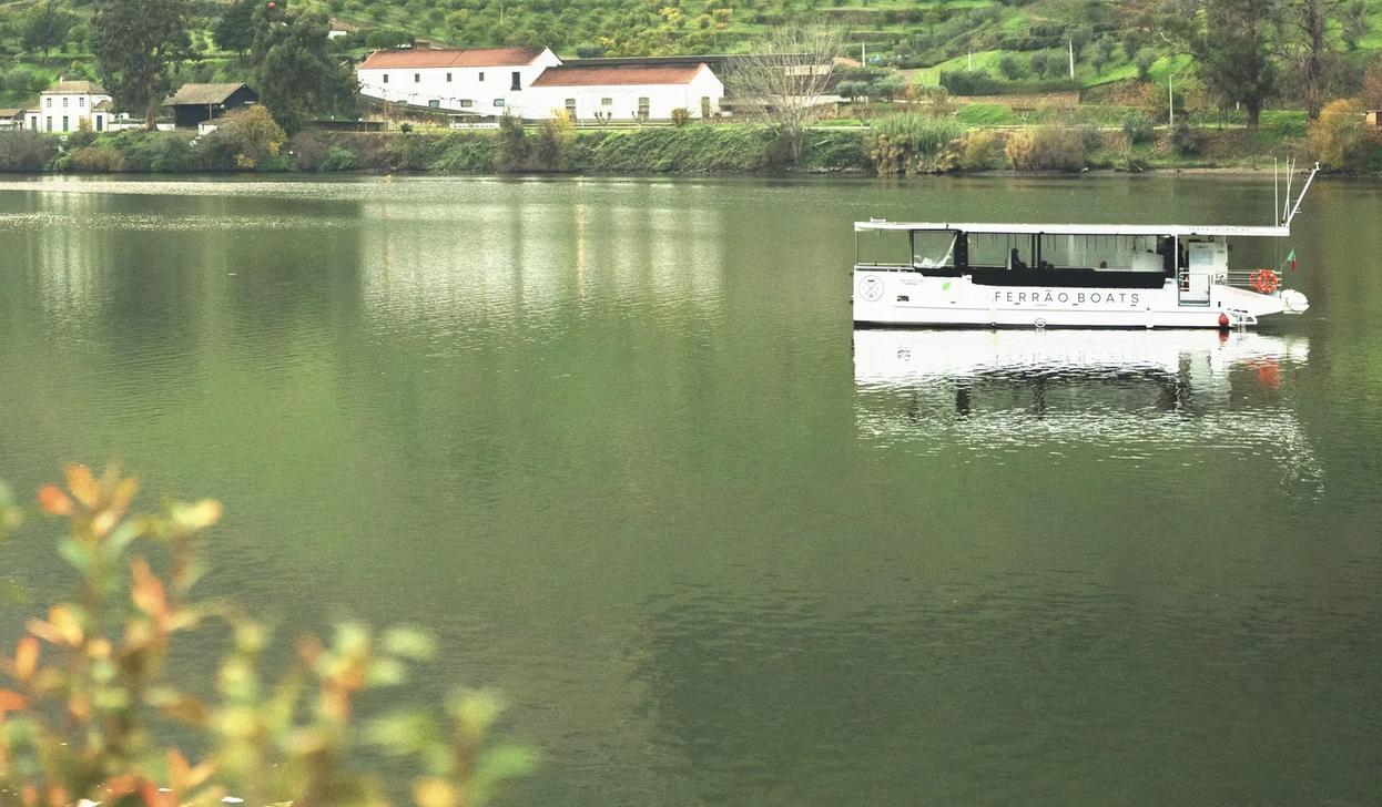 Douro Sunset Experience - 5