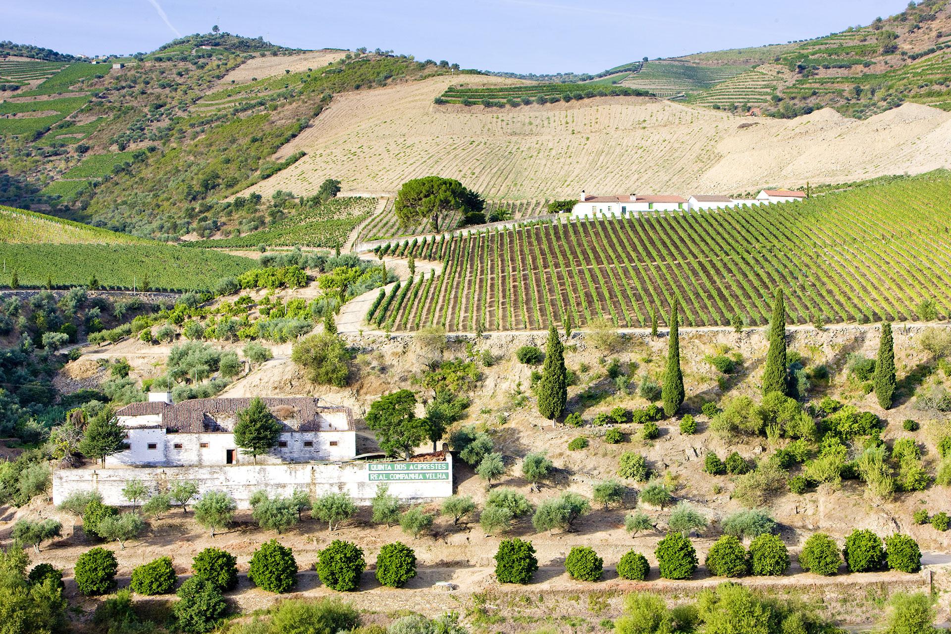 Douro Total - 2