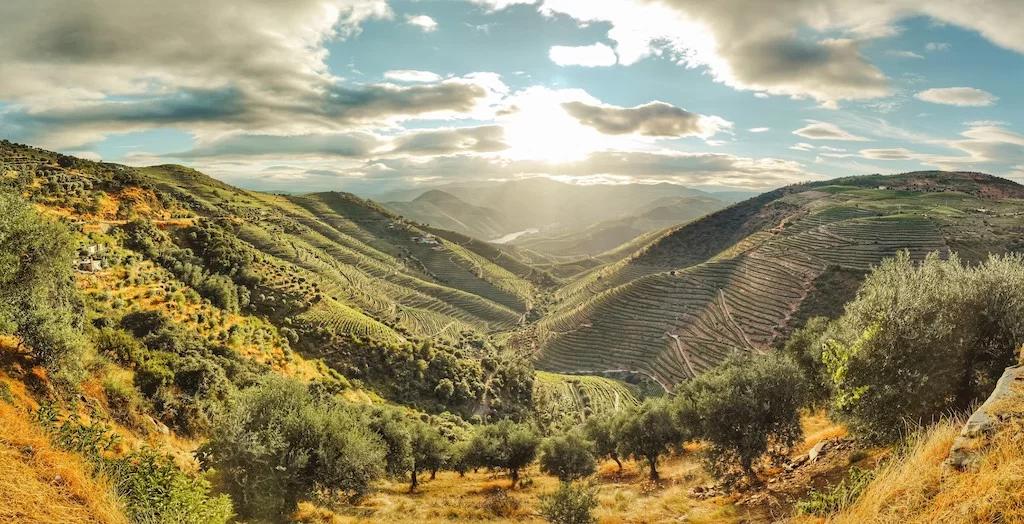 Tour Douro Experience - 3