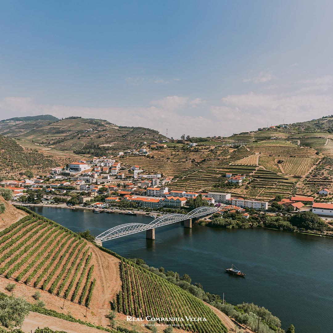 Cruzeiro Pinh&atilde;o - Romaneira - Pinh&atilde;o com Prova de Vinhos em Quinta - 3