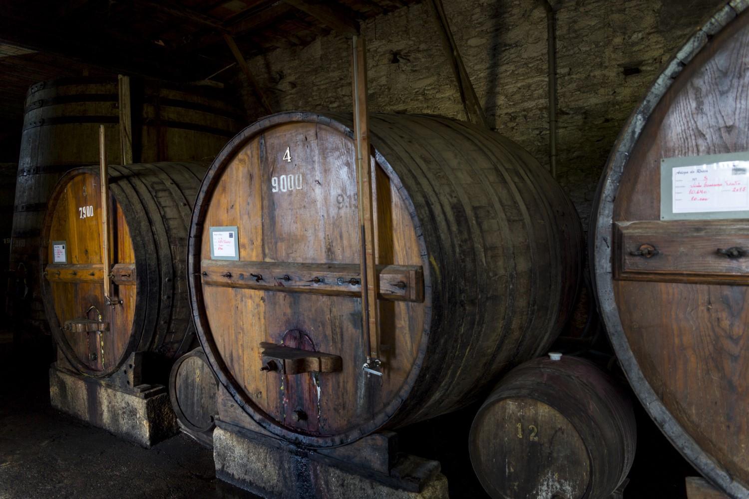Douro Sublimado - 5