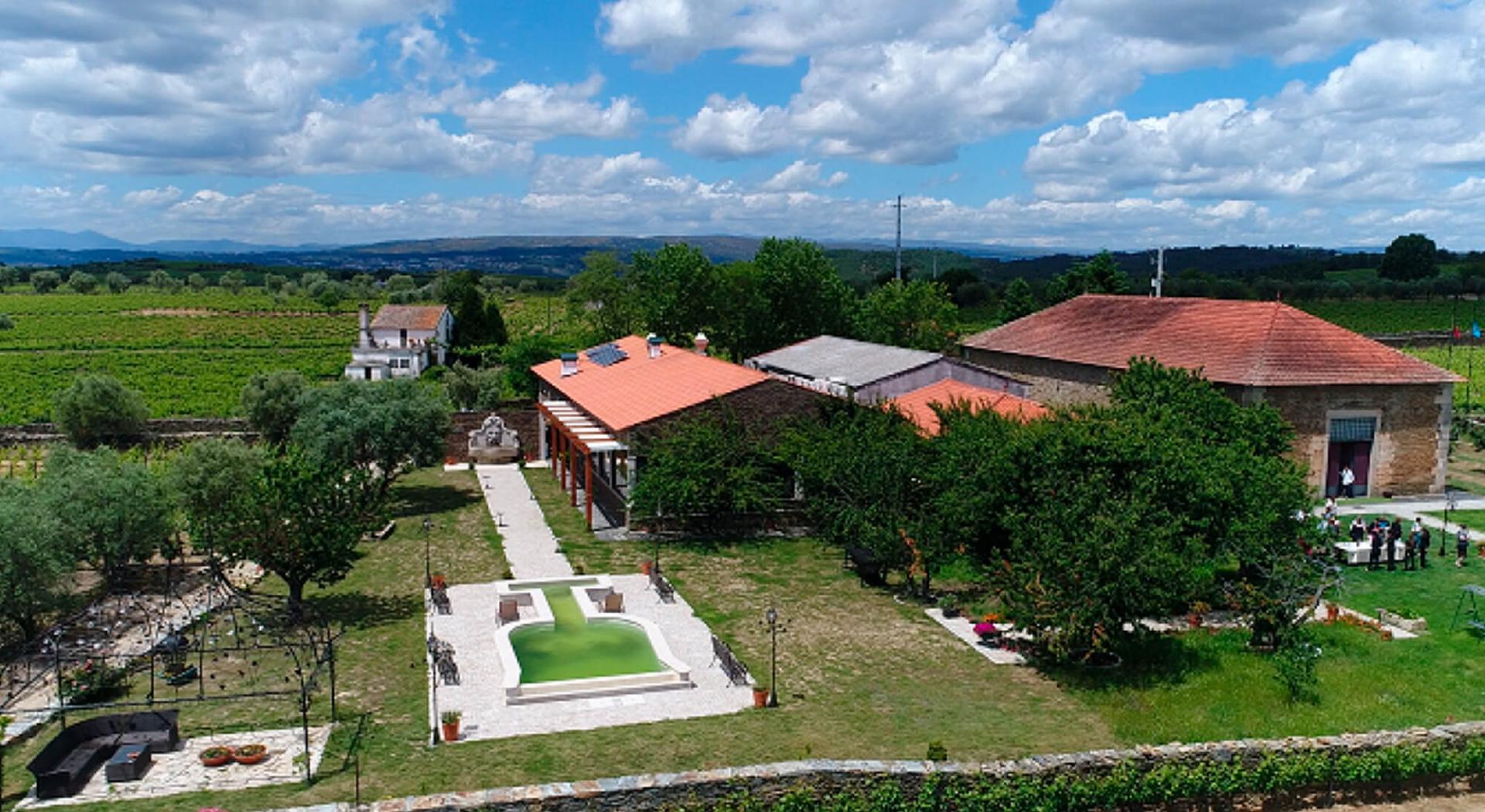Traditional Lunch or dinner at Quinta da Avessada - 2