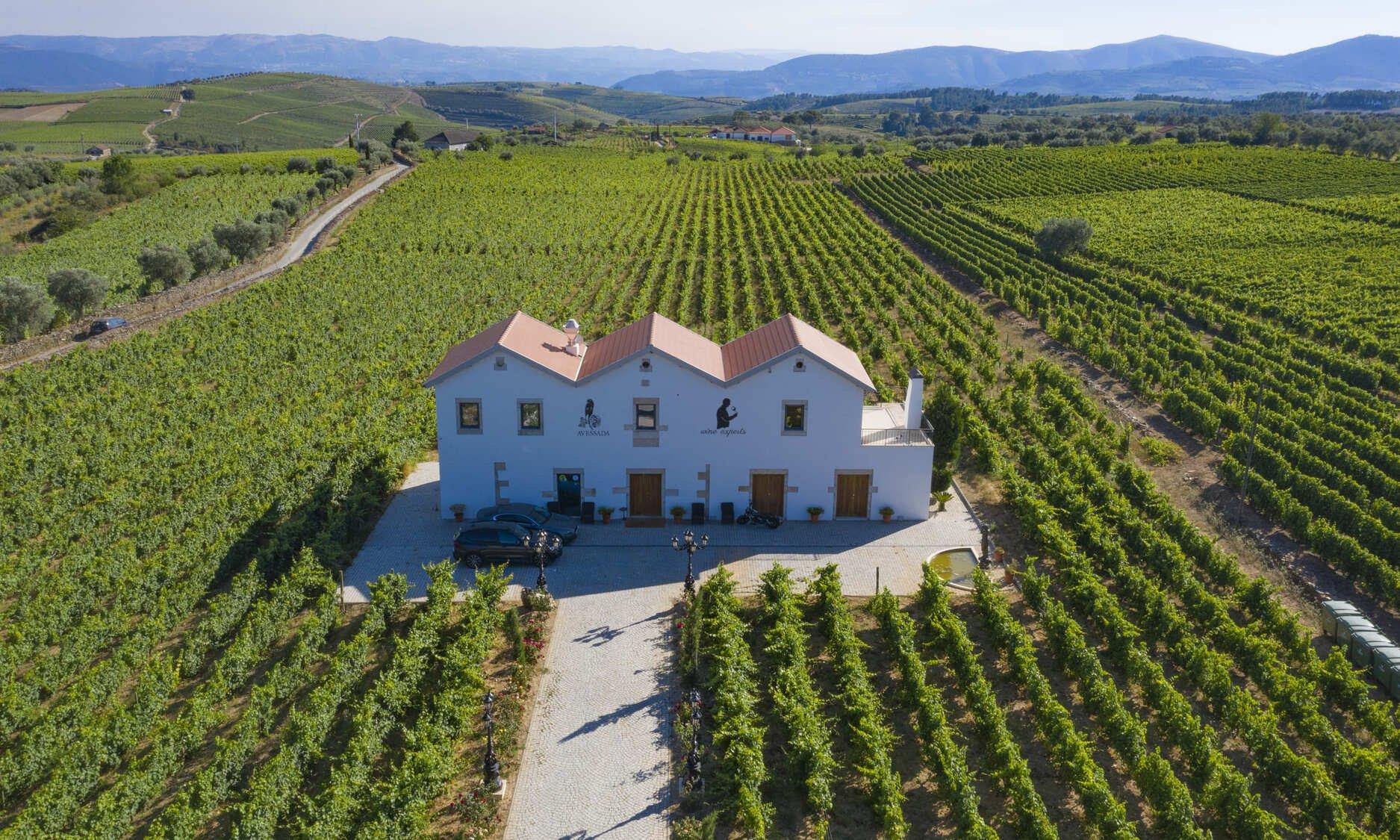 Traditional Lunch or dinner at Quinta da Avessada - 3