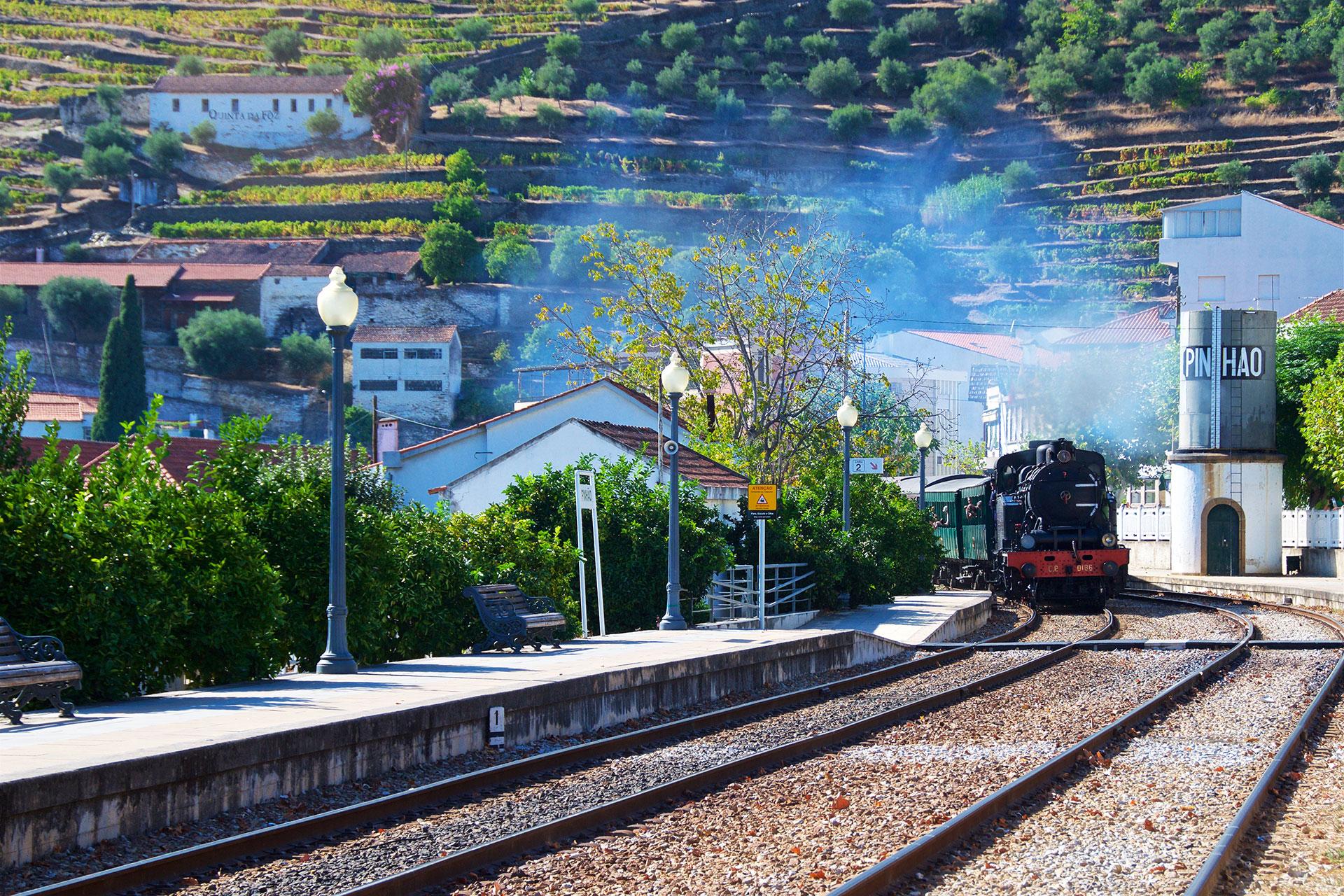 Excursion en Bateau sur le Douro vers Pinh&atilde;o, au d&eacute;part de Porto - 2