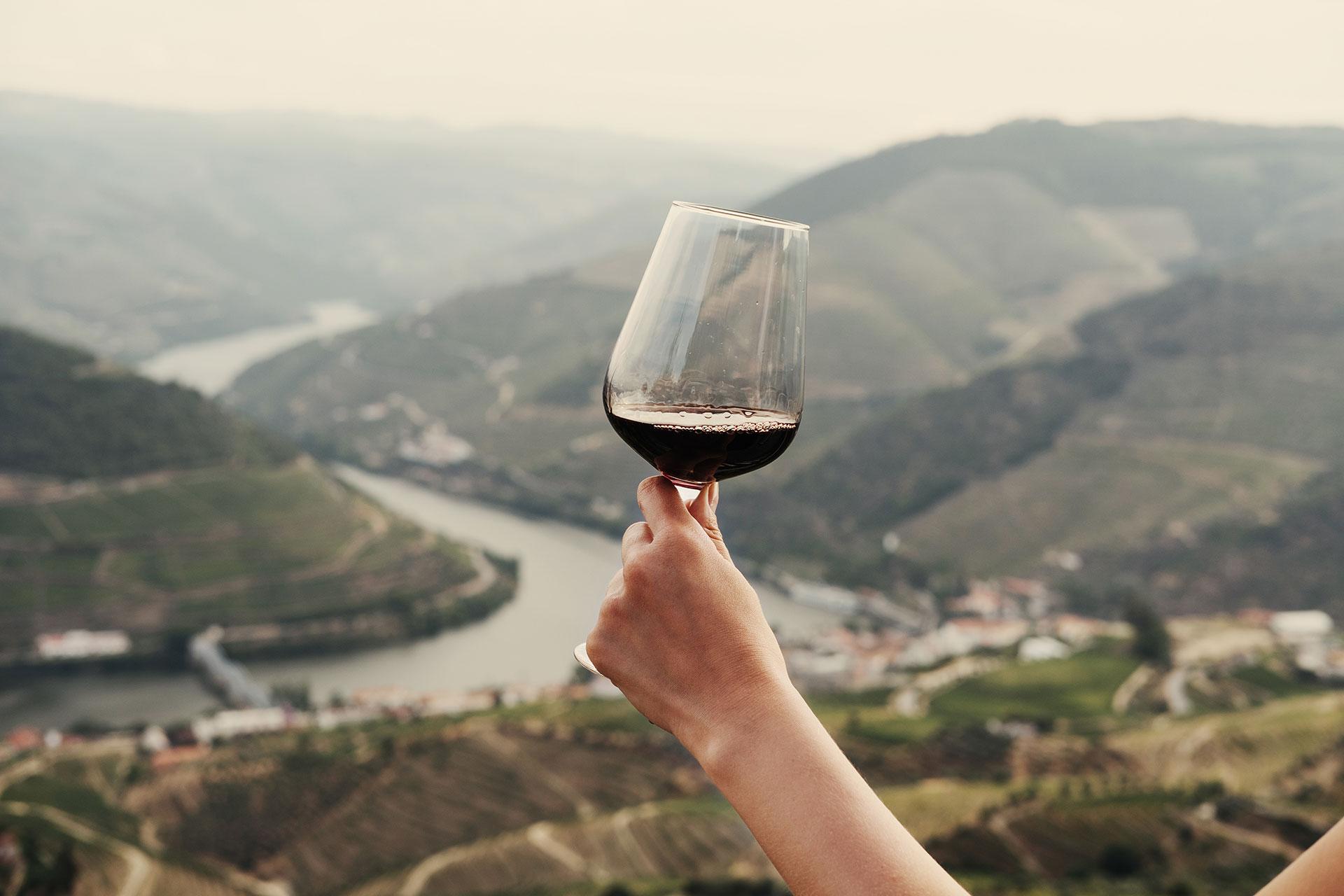 Excursion en Bateau sur le Douro vers Pinh&atilde;o, au d&eacute;part de Porto - 4