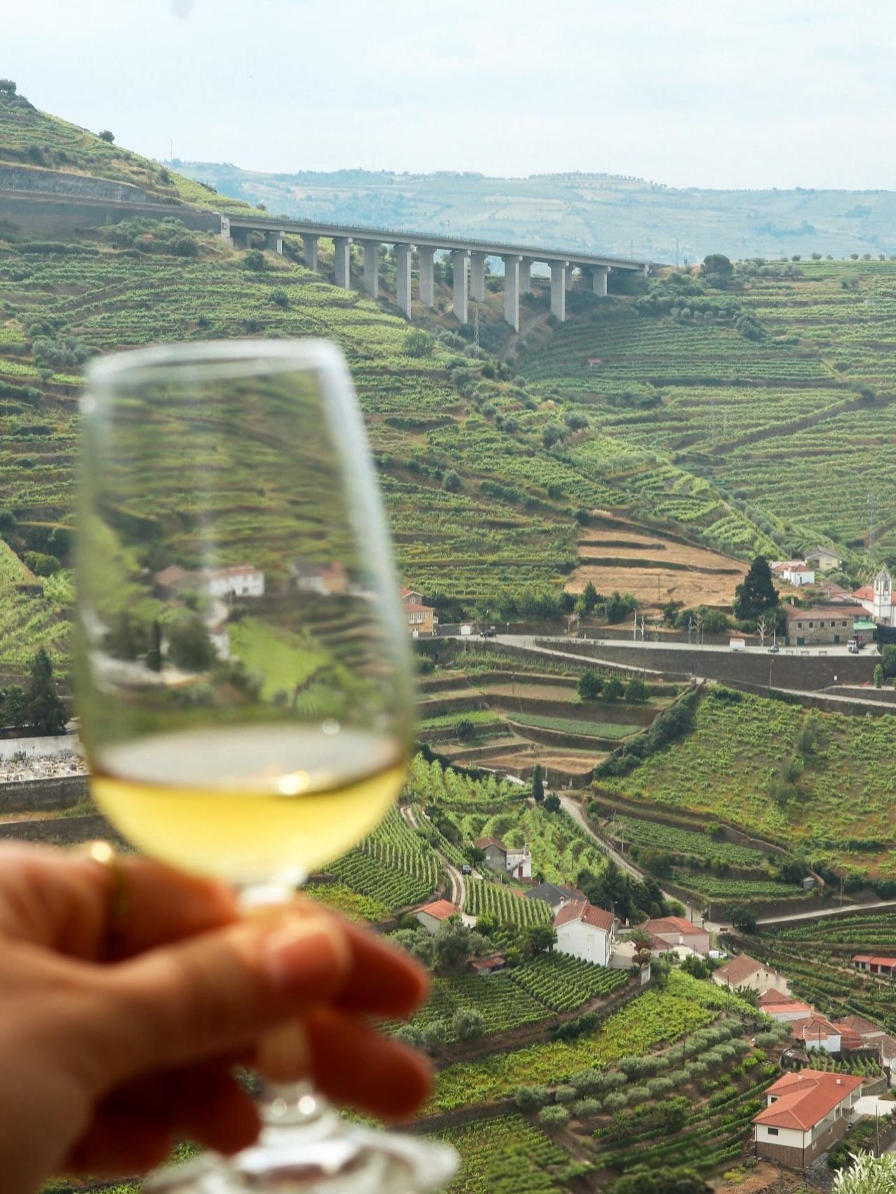 Douro Wine Escape - 3